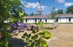 Termas de Chaves
