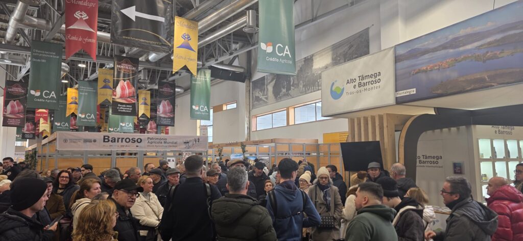 La Comunidad Intermunicipal de Alto Tâmega y Barroso (CIMAT) estuvo presente en la 35.ª Feria de Ahumados de Montalegre, celebrada del 22 al 25 de enero en el Pabellón Multiusos de Montalegre, como parte de su estrategia de promoción y valorización del territorio.